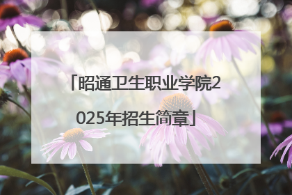 昭通卫生职业学院2025年招生简章