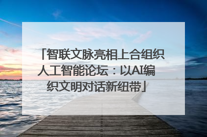 智联文脉亮相上合组织人工智能论坛：以AI编织文明对话新纽带