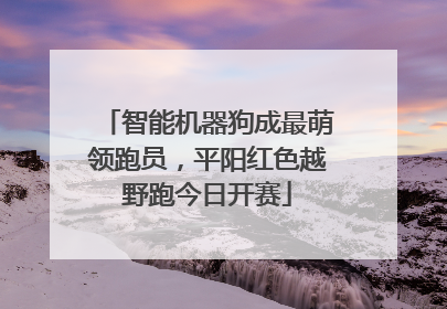智能机器狗成最萌领跑员，平阳红色越野跑今日开赛