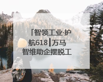 智领工业·护航618┃万马智维助企摆脱工业设备售后枷锁，实现服务与效能价值共振！
