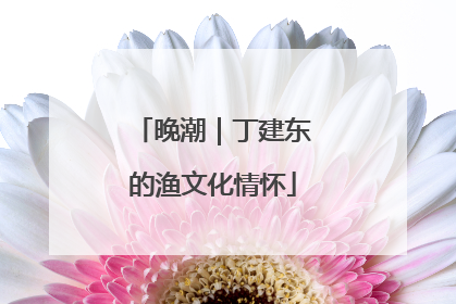 晚潮｜丁建东的渔文化情怀