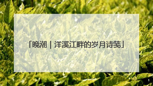 晚潮｜洋溪江畔的岁月诗笺