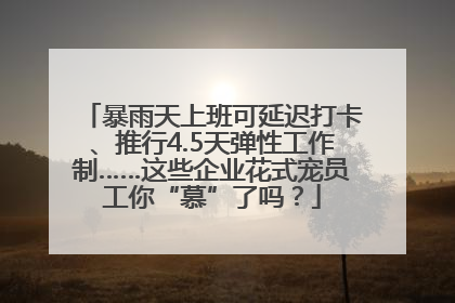 暴雨天上班可延迟打卡、推行4.5天弹性工作制……这些企业花式宠员工你“慕”了吗？