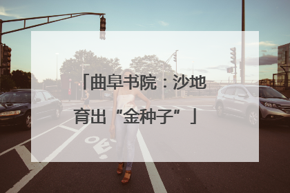 曲阜书院：沙地育出“金种子”