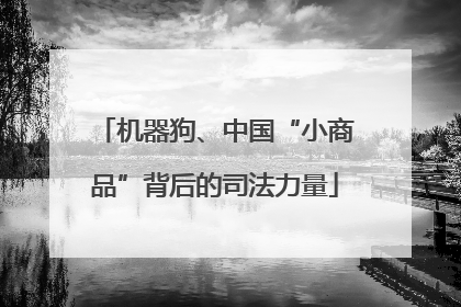 机器狗、中国“小商品”背后的司法力量
