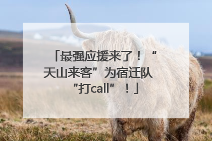 最强应援来了！“天山来客”为宿迁队“打call”！