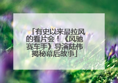有史以来最拉风的看片会！《风驰赛车手》导演陆伟揭秘幕后故事