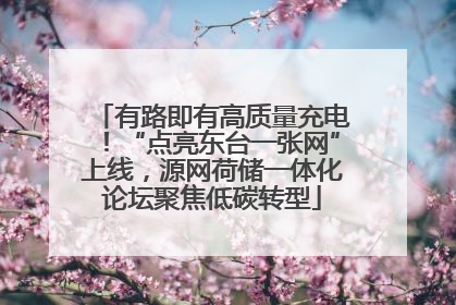 有路即有高质量充电！“点亮东台一张网”上线，源网荷储一体化论坛聚焦低碳转型