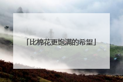 比棉花更饱满的希望