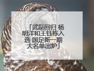 武磊回归 杨明洋和王钰栋入选 国足新一期大名单出炉