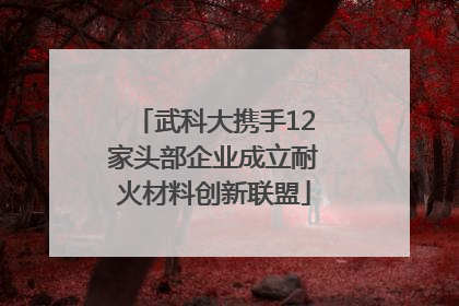 武科大携手12家头部企业成立耐火材料创新联盟