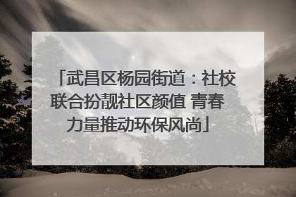 武昌区杨园街道：社校联合扮靓社区颜值 青春力量推动环保风尚