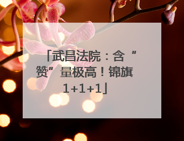 武昌法院：含“赞”量极高！锦旗1+1+1