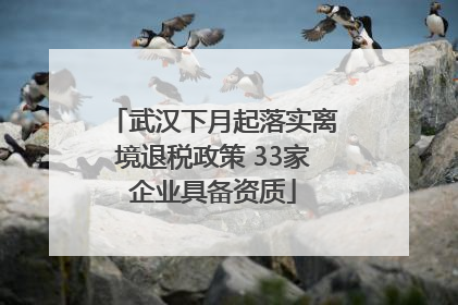 武汉下月起落实离境退税政策 33家企业具备资质