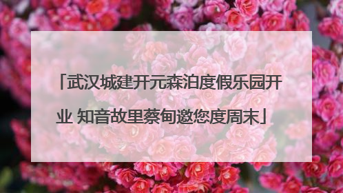 武汉城建开元森泊度假乐园开业 知音故里蔡甸邀您度周末