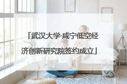 武汉大学·咸宁低空经济创新研究院签约成立