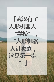 武汉有了人形机器人“学校”，“人形机器人进家庭，这是第一步”