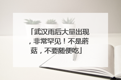 武汉雨后大量出现，非常罕见！不是蘑菇，不要随便吃