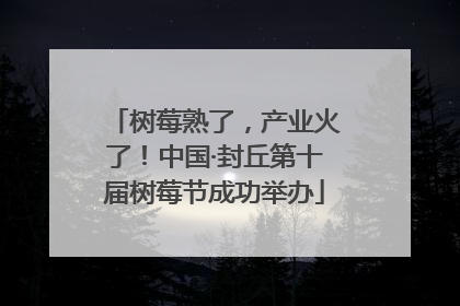 树莓熟了，产业火了！中国·封丘第十届树莓节成功举办