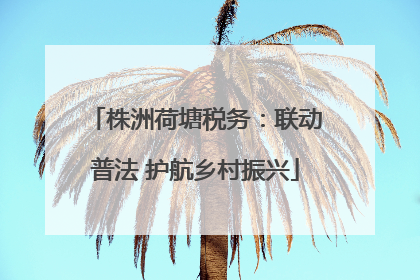 株洲荷塘税务：联动普法 护航乡村振兴