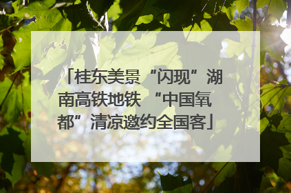 桂东美景“闪现”湖南高铁地铁 “中国氧都”清凉邀约全国客