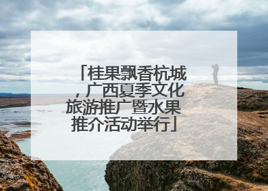 桂果飘香杭城，广西夏季文化旅游推广暨水果推介活动举行