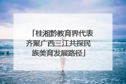 桂湘黔教育界代表齐聚广西三江共探民族美育发展路径