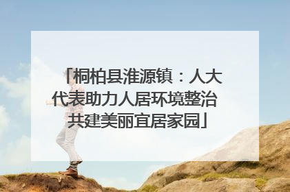 桐柏县淮源镇：人大代表助力人居环境整治 共建美丽宜居家园
