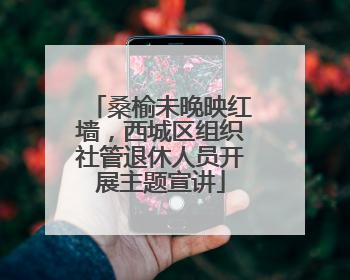 桑榆未晚映红墙，西城区组织社管退休人员开展主题宣讲