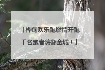 桦甸欢乐跑燃情开跑 千名跑者嗨翻金城！