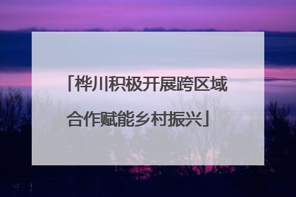 桦川积极开展跨区域合作赋能乡村振兴