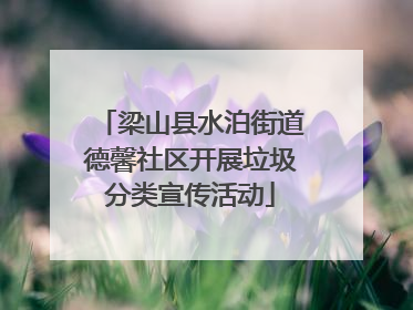 梁山县水泊街道德馨社区开展垃圾分类宣传活动