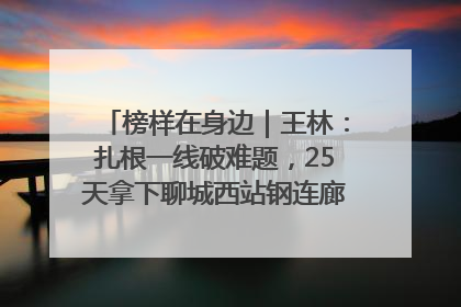 榜样在身边｜王林：扎根一线破难题，25天拿下聊城西站钢连廊“硬核”工程