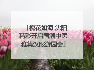 槐花如海 沈阳精彩开启国潮中医雅集汉服游园会