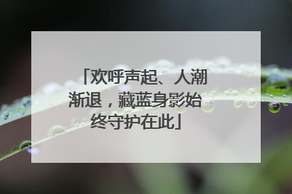 欢呼声起、人潮渐退，藏蓝身影始终守护在此