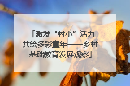 激发“村小”活力 共绘多彩童年——乡村基础教育发展观察