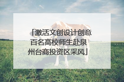 激活文创设计创意 百名高校师生赴泉州台商投资区采风