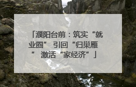 濮阳台前：筑实“就业圈” 引回“归巢雁” 激活“家经济”