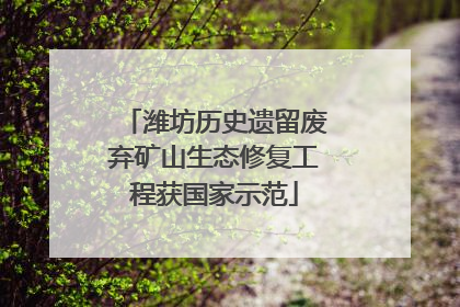 潍坊历史遗留废弃矿山生态修复工程获国家示范