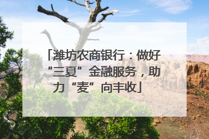 潍坊农商银行：做好“三夏”金融服务，助力“麦”向丰收