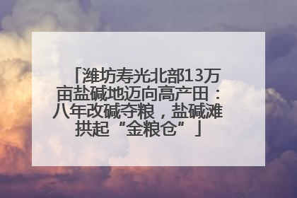 潍坊寿光北部13万亩盐碱地迈向高产田：八年改碱夺粮，盐碱滩拱起“金粮仓”