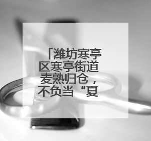 潍坊寒亭区寒亭街道麦熟归仓，不负当“夏”！