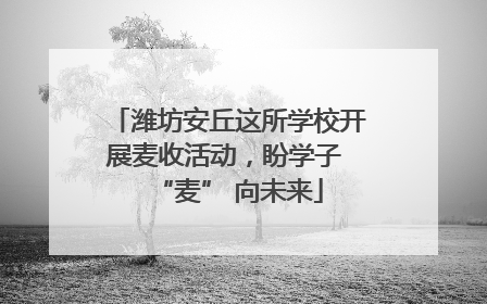 潍坊安丘这所学校开展麦收活动，盼学子 “麦” 向未来