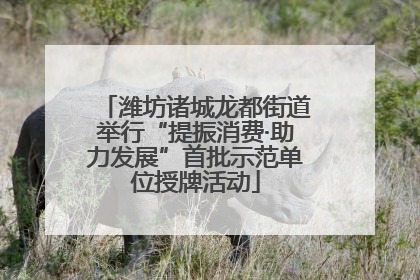 潍坊诸城龙都街道举行“提振消费·助力发展”首批示范单位授牌活动