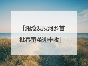 澜沧发展河乡首批春蚕茧迎丰收