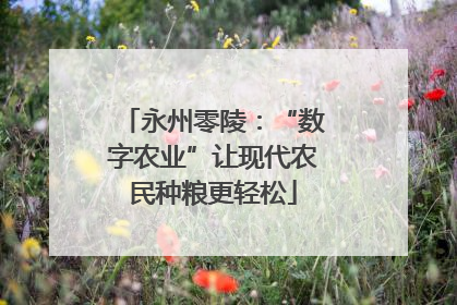 永州零陵：“数字农业”让现代农民种粮更轻松