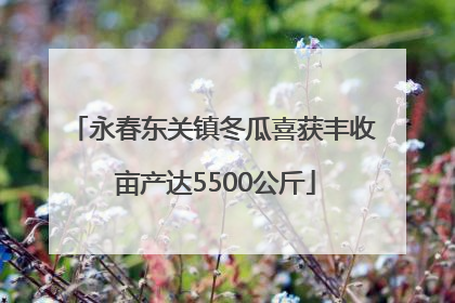 永春东关镇冬瓜喜获丰收 亩产达5500公斤
