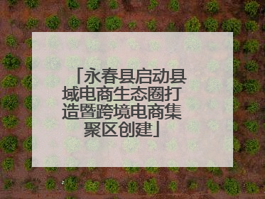 永春县启动县域电商生态圈打造暨跨境电商集聚区创建