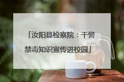 汝阳县检察院：干警禁毒知识宣传进校园