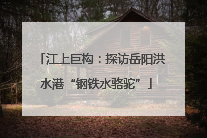 江上巨构：探访岳阳洪水港“钢铁水骆驼”